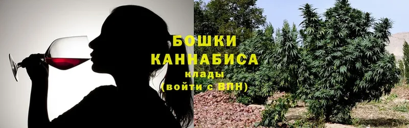 Шишки марихуана Amnesia  купить наркотики сайты  Костомукша 